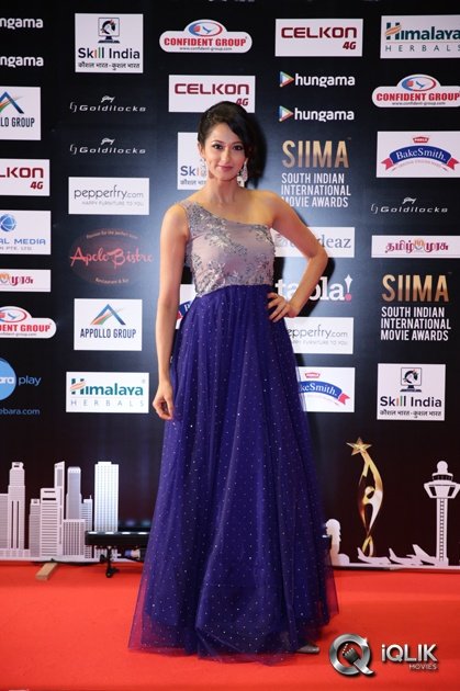 Celebs-at-SIIMA-2016